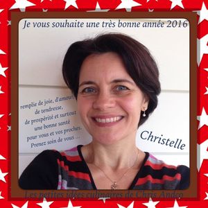 Meilleurs voeux pour 2016