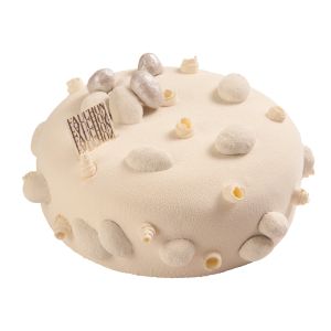 L'entremets caractic