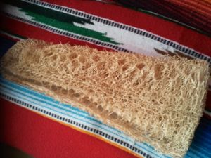 Gratounette maguey