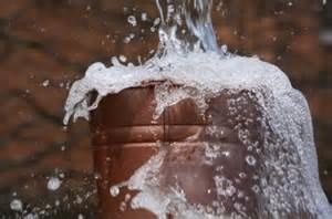Comment bien semer pour récolter ce que l'on souhaite ?