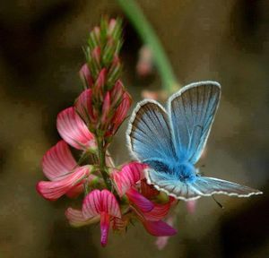 le petit mot de Neale Donald Walsch