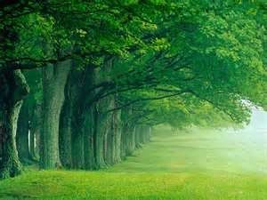Le petit mot de Neale Donald Walsch