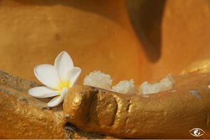 Le petit mot de Neale Donald Walsch