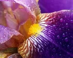 Le petit mot de Neale Donald Walsch