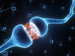La science du bonheur : Pourquoi vous plaindre est littéralement en train de vous tuer.
