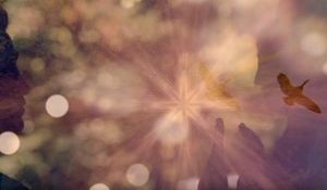 Interview de l'âme sur la mission de vie, par Lulumineuse