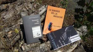 Traversées des limbes, Jean-Christophe HeckersLe baiser de la mouche, Chris Simon/Le prix à payer, Patrice Salsa