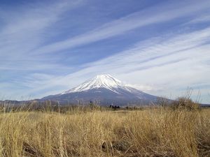 Voyage d'été 2015 : aïkido, Tokyo, Kyoto et Mont Fuji