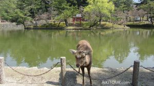 Nara