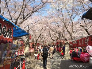 Compte-rendu du voyage au Japon printemps 2015