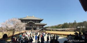Nara