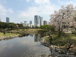 Séjour aïkido à Tokyo