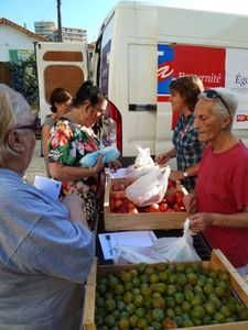 Fête de la mer, 25e édition réussie