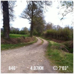 Entraînement 3