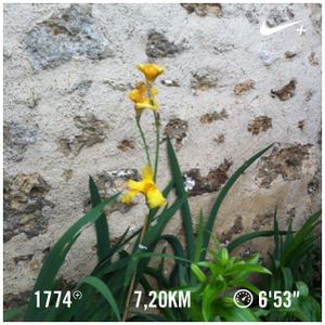 Endurance fondamentale