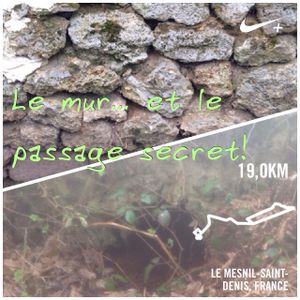 Marathon: courra? Courra pas?