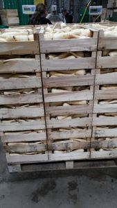 Une production de panais de qualité en septembre