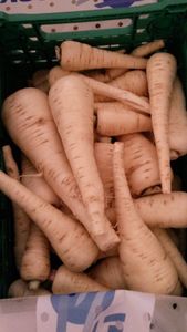 le panais : le produit typique de l'automne