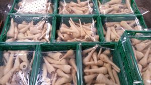 Panais : le coeur de gamme des légumes anciens