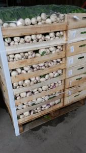 Navet botte : le produit primeur du printemps