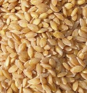Laits et crèmes végétales, comment les utiliser?