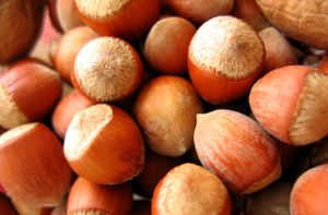 Laits et crèmes végétales, comment les utiliser?
