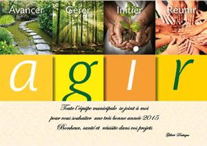 Bonne Année 2015