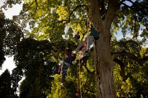 Ce dimanche 20 septembre, au Parc des Charmettes.