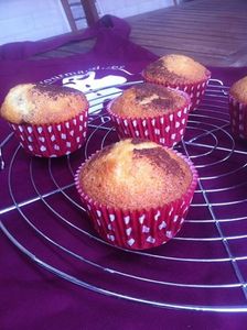 Petits muffins marbrés au chocolat noir Fleur de Sel .