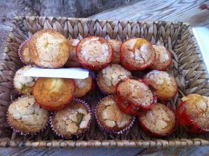 Madeleines espagnoles à la fève de Tonka vanille du marché de noël à Lunel en 2013 .