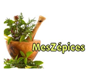 Bon de réduction février 2015 chez MesZépices.com .