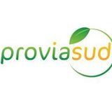 Petit concours avec la Stévia de Lunel décembre 2015 .
