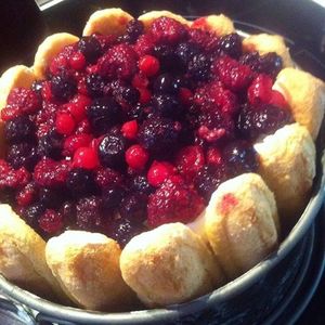 Charlotte maison au coulis de fruits rouges vanille équitable , fruits entiers chantilly menthe poivrée .
