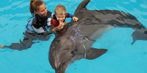 La delphinothérapie, une thérapie assistée par les dauphins pour les enfants ou les adultes en difficultés
