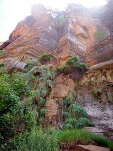 ZION NATIONAL PARK
