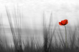 Aimons-nous vivants ..