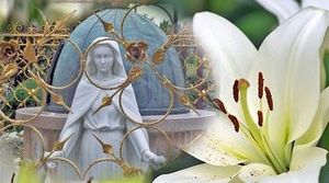 La rosée et le lis