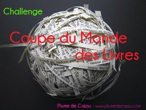 Ma Coupe du Monde des Livres: bilan