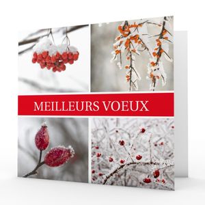 1er janvier 2015!