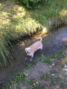 La photo de la semaine : A l'eau!...