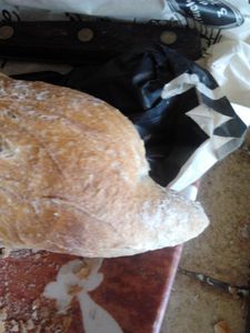La photo de la semaine : Pain dauphin