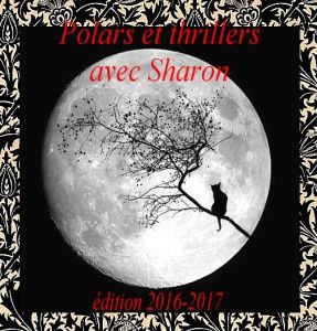 Challenge Polars et Thrillers