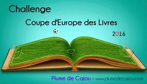 Coupe d'Europe des livres : mon bilan