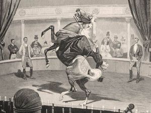 Articles sur l'équitation en amazone