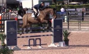 Mérédith Michaels Beerbaum Entre nous Aspara Mérida Comanche Cobra TEQUILA DE L'ILE FIBONACCI et ATLANTA WEF