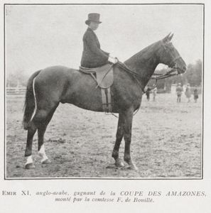 des amazones au concours hippique de Bruxelles