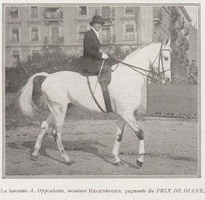 amazones concours hippique Genève 1928