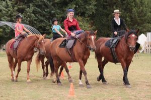 Cheval de trait et équitation en amazone