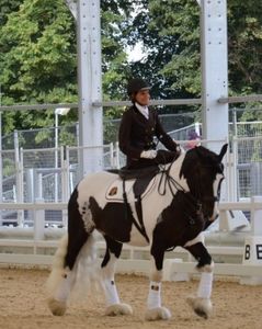 Les chevaux pie et la monte en amazone
