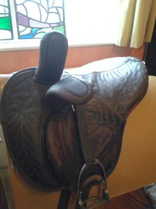 shetland et petits poneys en amazone
